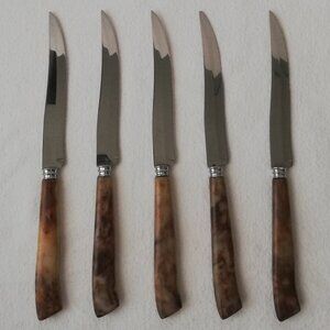 Vintage Galaxie Hollow Ground Stainless Set Of 5 Bakelite Steak Knives